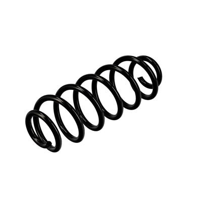 ARC SPIRAL EIBACH R10141 16
