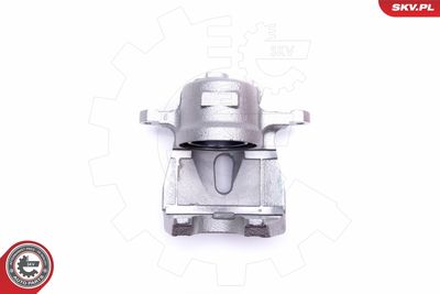 Brake Caliper 45SKV812