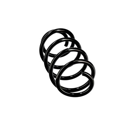 ARC SPIRAL EIBACH R10769 24