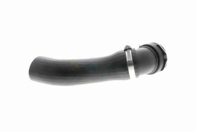 FURTUN EAR SUPRAALIMENTARE VAICO V201620 5