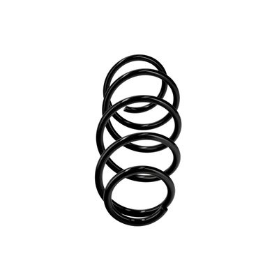 ARC SPIRAL EIBACH R22950 13