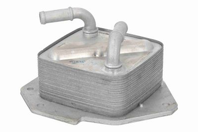 RADIATOR ULEI ULEI MOTOR ACKOJA A32600010 3