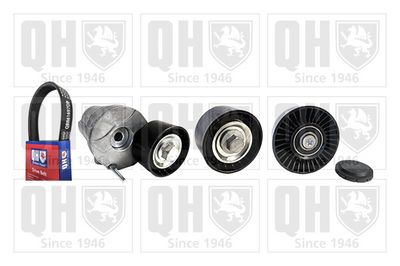 SET CUREA TRANSMISIE CU CANELURI