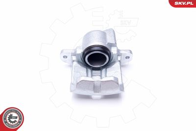 Brake Caliper 42SKV632