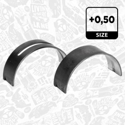 SET RULEMT ARBORE COTIT ET ENGINETEAM LH001950 1