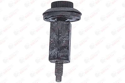 LIMITATOR ACOPERIRE MOTOR BIRTH 80969 1