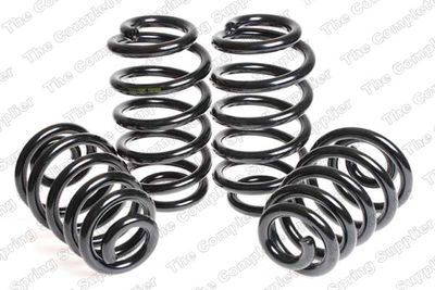 FAHRWERKSSATZ FEDERN