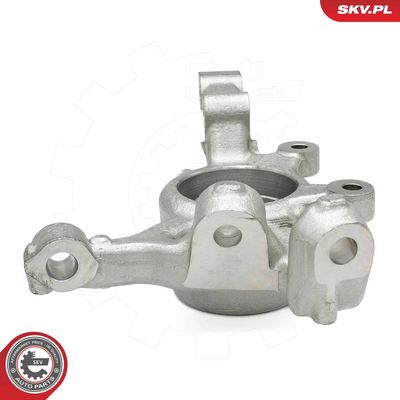 Achsschenkel, Radaufhängung