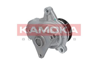 Water Pump, engine cooling T0157