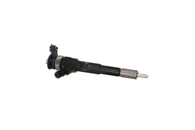 INJECTOR REMANTE 002003001494R 48