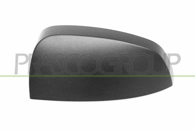 ACOPERIRE OGLINDA EXTERIOARA