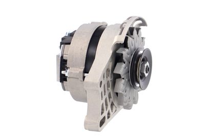 GENERATOR / ALTERNATOR REMANTE 011003000073R 46