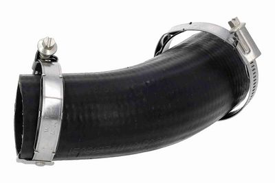 FURTUN EAR SUPRAALIMENTARE ACKOJA A520878 1