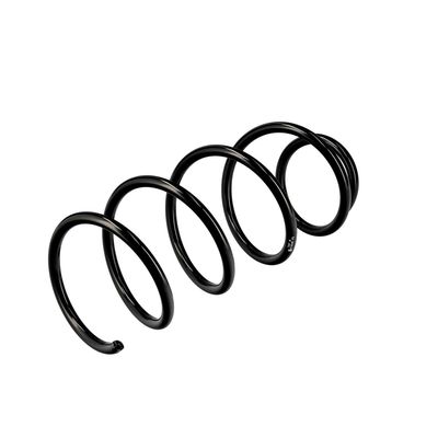 ARC SPIRAL EIBACH R10246 16