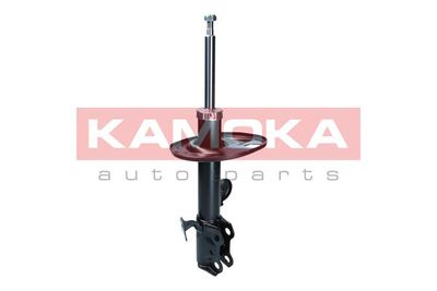 Shock Absorber 2001121