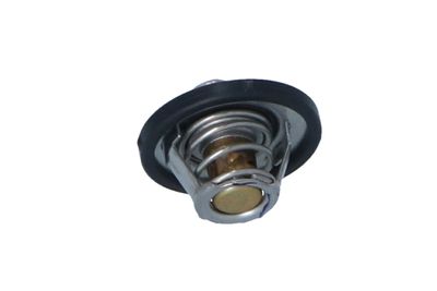 TERMOSTAT LICHID RACIRE NRF 725182 25