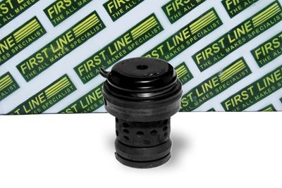 окачване, двигател FIRST LINE FEM3111