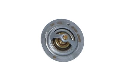 TERMOSTAT LICHID RACIRE NRF 725120 44