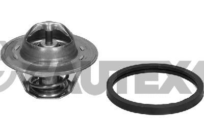 CAUTEX 775905 Термостат для CHEVROLET ASTRO Фургон 4.3 CAUTEX 775905 Термостат для CHEVROLET ASTRO Фургон 4.3