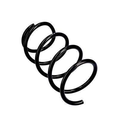 ARC SPIRAL EIBACH R10647 11