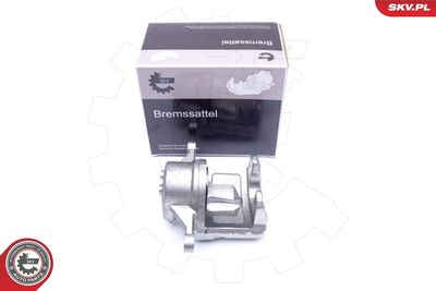 Brake Caliper 42SKV482