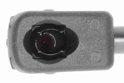 AMORTIZOR PORTBAGAJ VAICO V240205 1