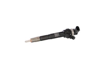 INJECTOR REMANTE 002003000034R 65