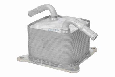 RADIATOR ULEI ULEI MOTOR ACKOJA A38600014 3