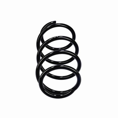 ARC SPIRAL EIBACH R20284 13