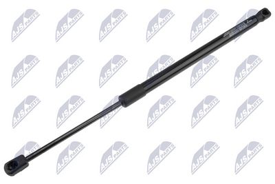 Dujinė spyruoklė, bagažinė