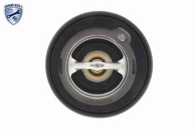 TERMOSTAT LICHID RACIRE ACKOJA A26990001 1