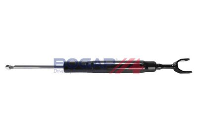 AMORTIZOR BOGAP A3410137 1
