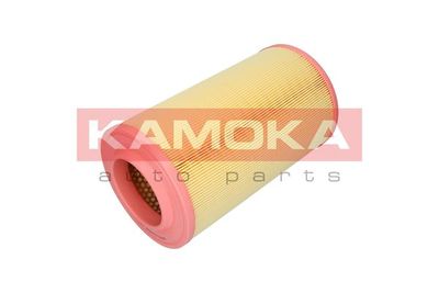 Air Filter F236301