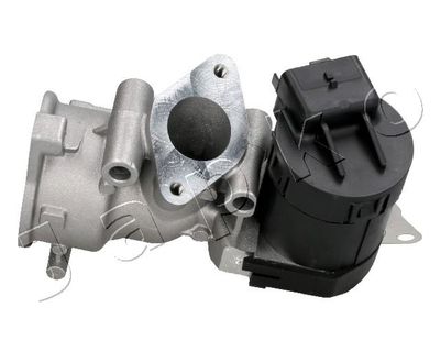 EGR Valve 1500302