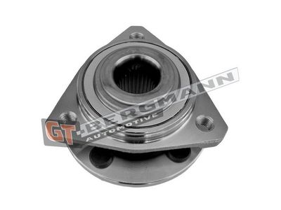 GT-BERGMANN Automotive Rato guolio komplektas