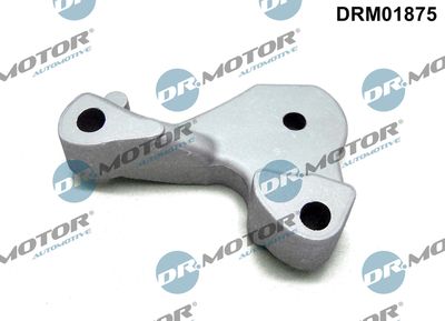 Mounting, engine DRM01875