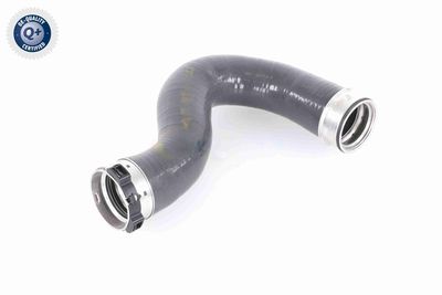 FURTUN EAR SUPRAALIMENTARE VAICO V301799 3