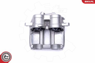 Brake Caliper 46SKV633