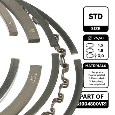 SET SEGMENTI PISTON ET ENGINETEAM R1004800VR1 1