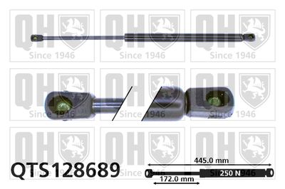 QUINTON HAZELL QTS128689 Амортизатор багажника и капота  для PEUGEOT 406 (Пежо 406)