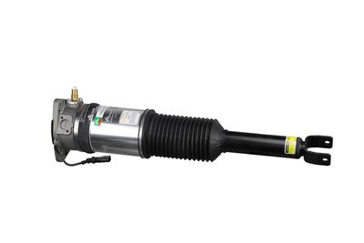 LUFTFEDERBEIN Arnott AS2958 29