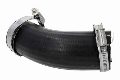 FURTUN EAR SUPRAALIMENTARE ACKOJA A520878 3