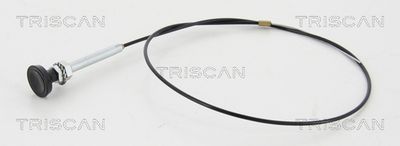 Oś przepustnicy, gaźnik TRISCAN 8140 25505