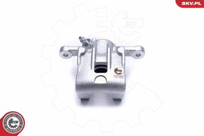 Brake Caliper 50SKV943