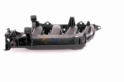 MODUL CONDUCTA ADMISIE VAICO V301074 6