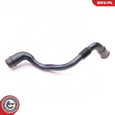 Žarna, karterio alsuoklis