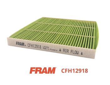 FRAM CFH12918