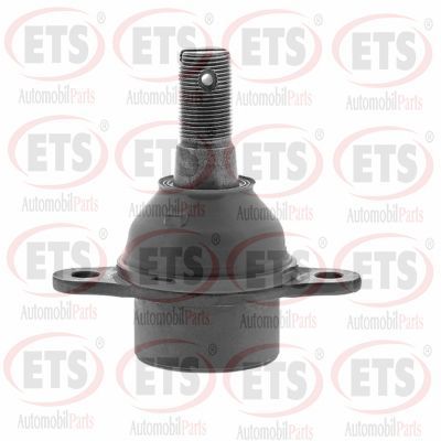 Шарнири ETS 06.BJ.451