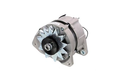GENERATOR / ALTERNATOR REMANTE 011003000454R 8