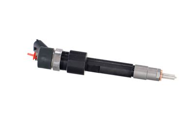 INJECTOR REMANTE 002003001695R 42